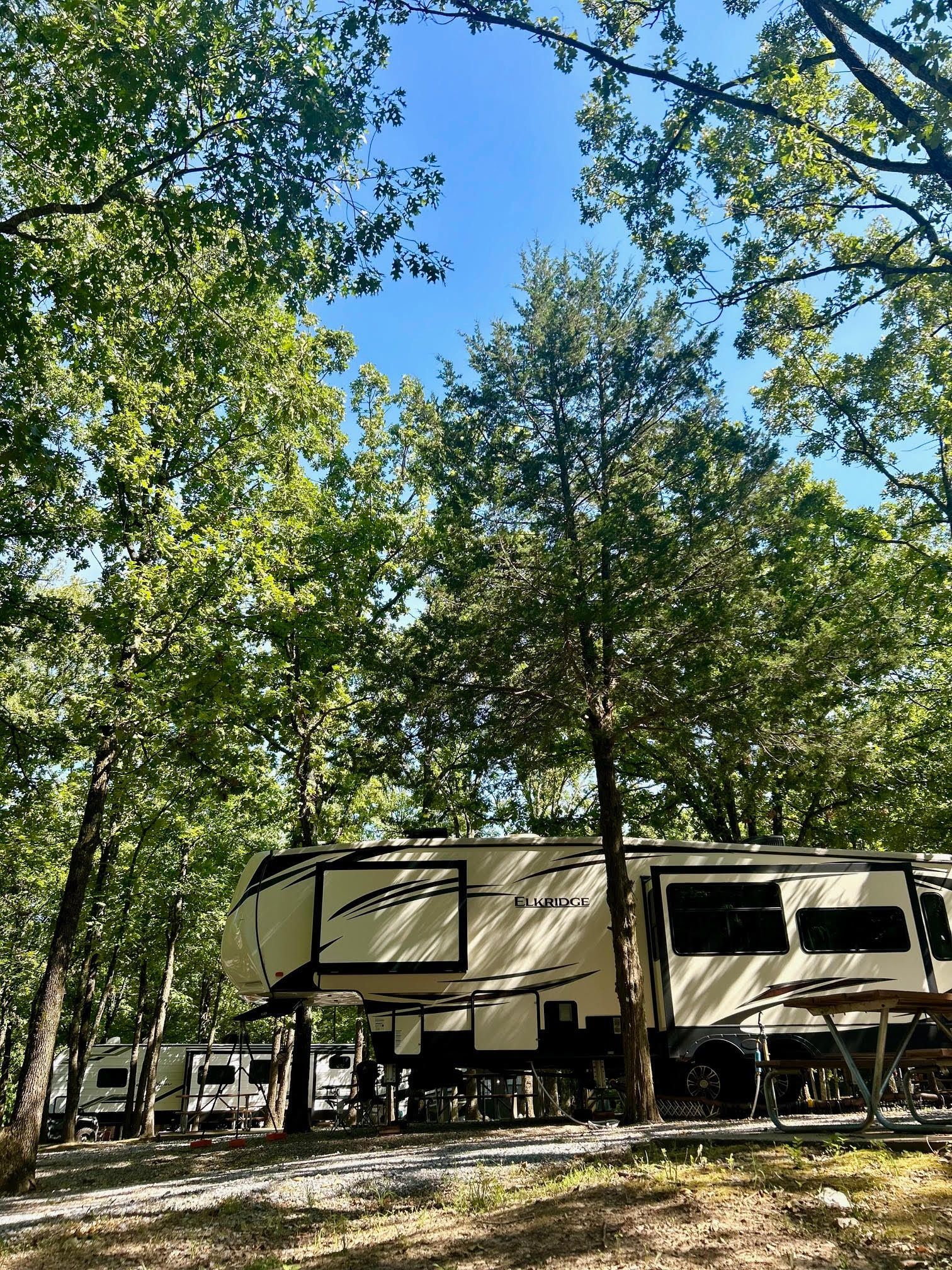 A rv is parked in a campground surrounded by trees.