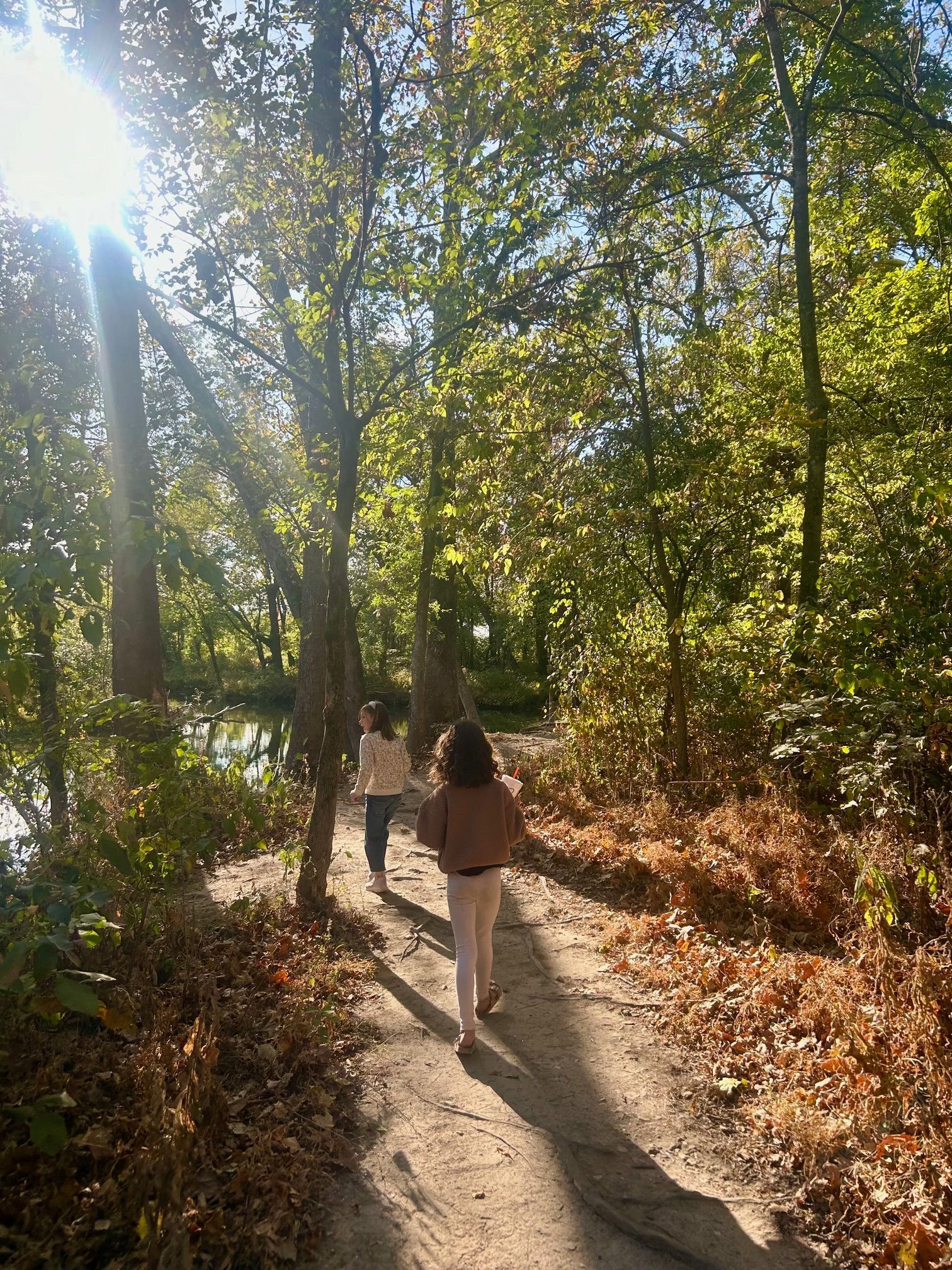 RV camping in Northwest Arkansas at Rustic Ridge Retreat