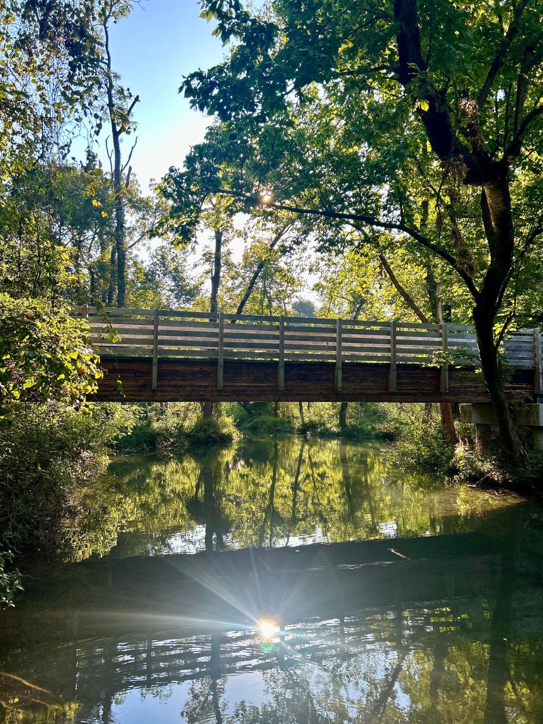 A bridge over a body of water surrounded by trees