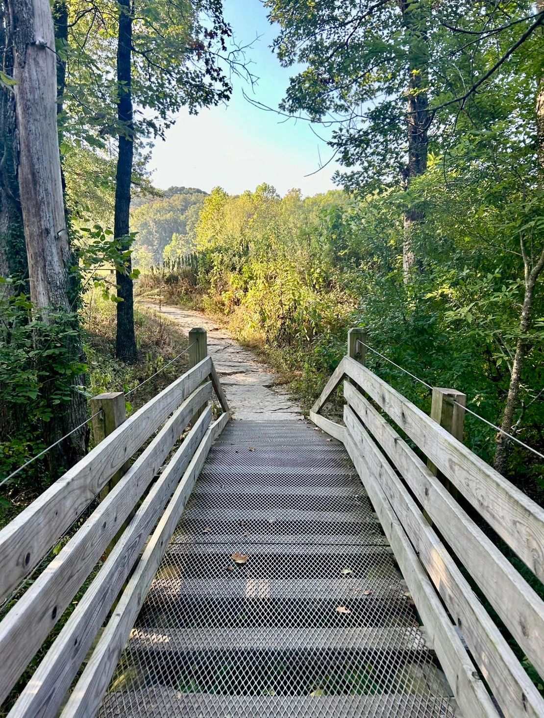 A wooden bridge leading to a path in the woods.