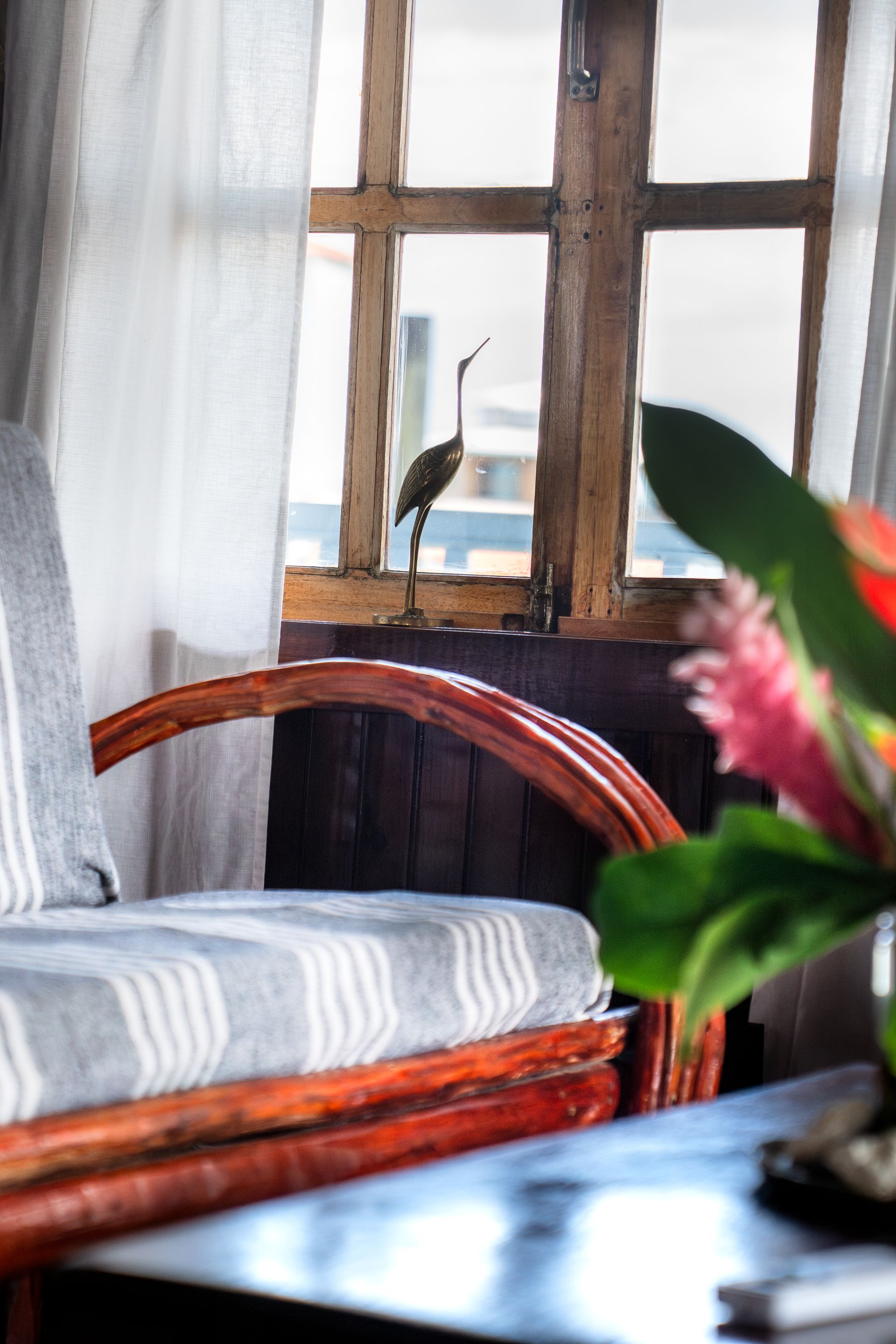 A bird is perched on a window sill in a living room