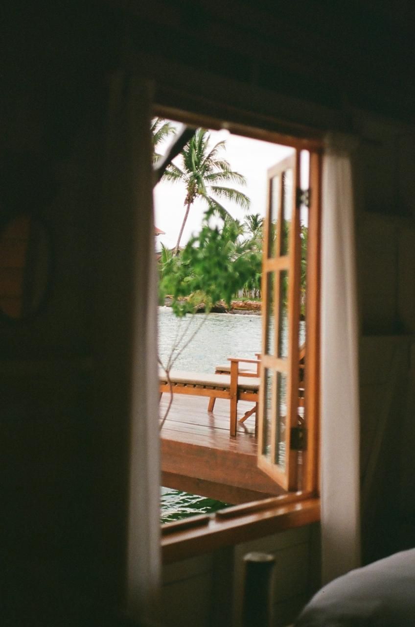 A window with a view of a body of water and palm trees