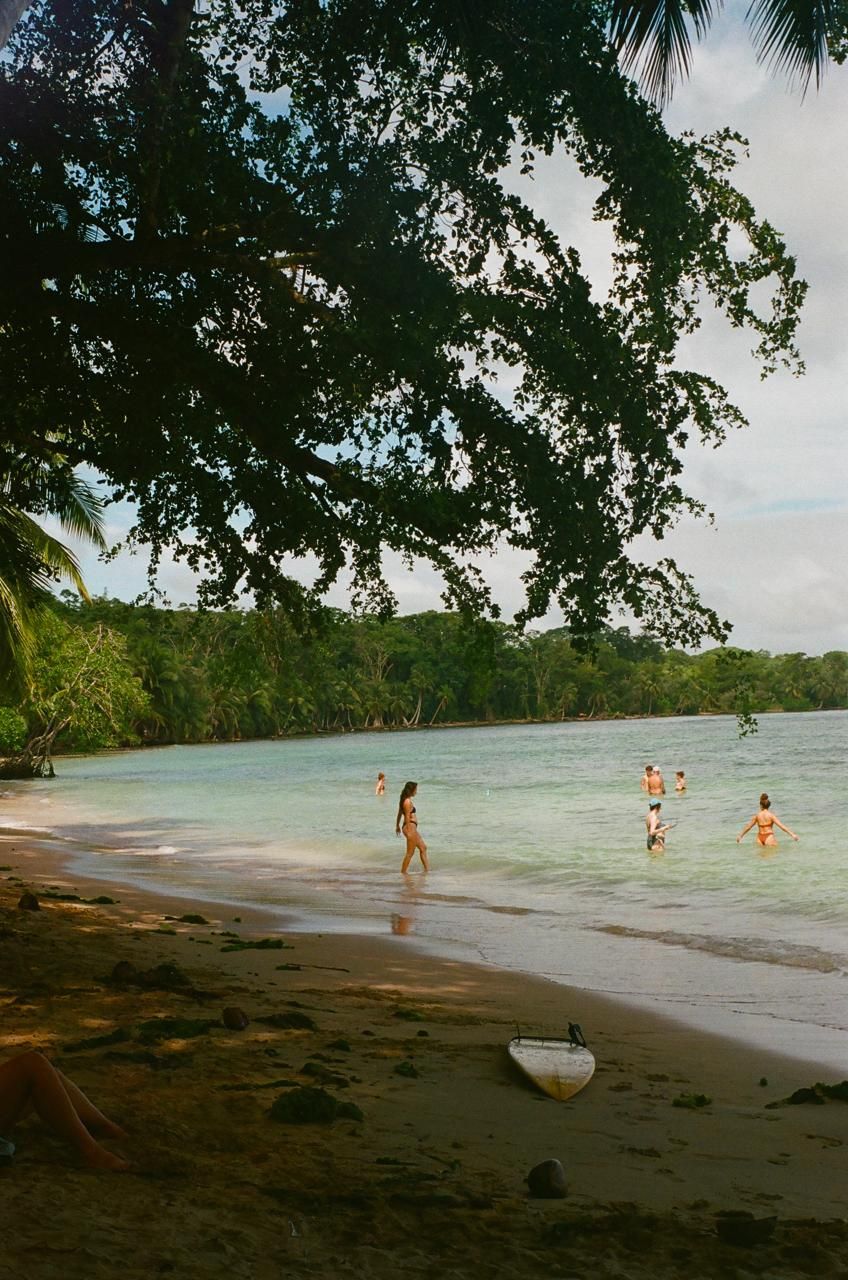 A group of people are swimming in the ocean on a beach