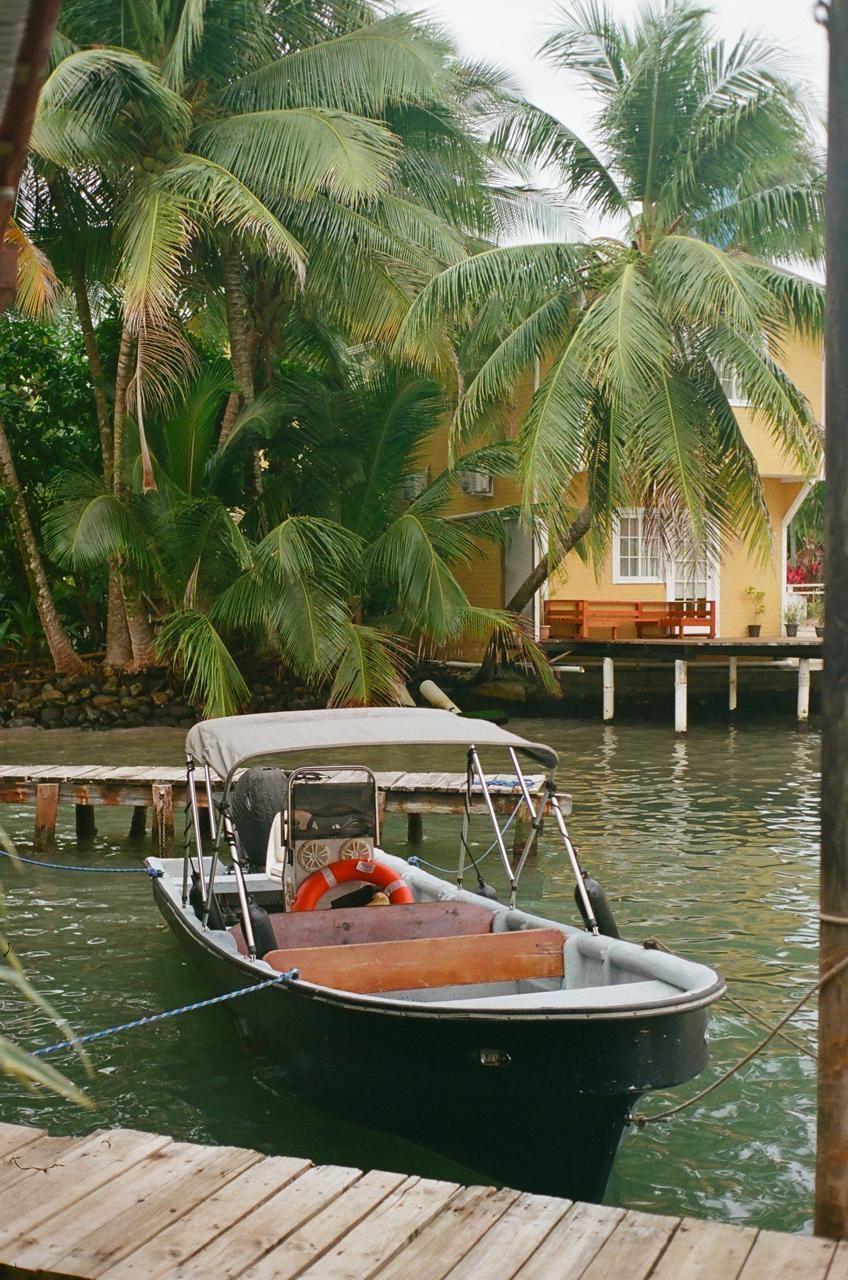 A boat is docked at a dock in front of a house surrounded by palm trees.