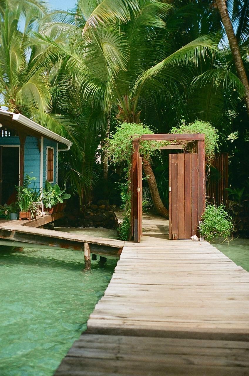 A wooden dock leads to a blue house on a tropical island.