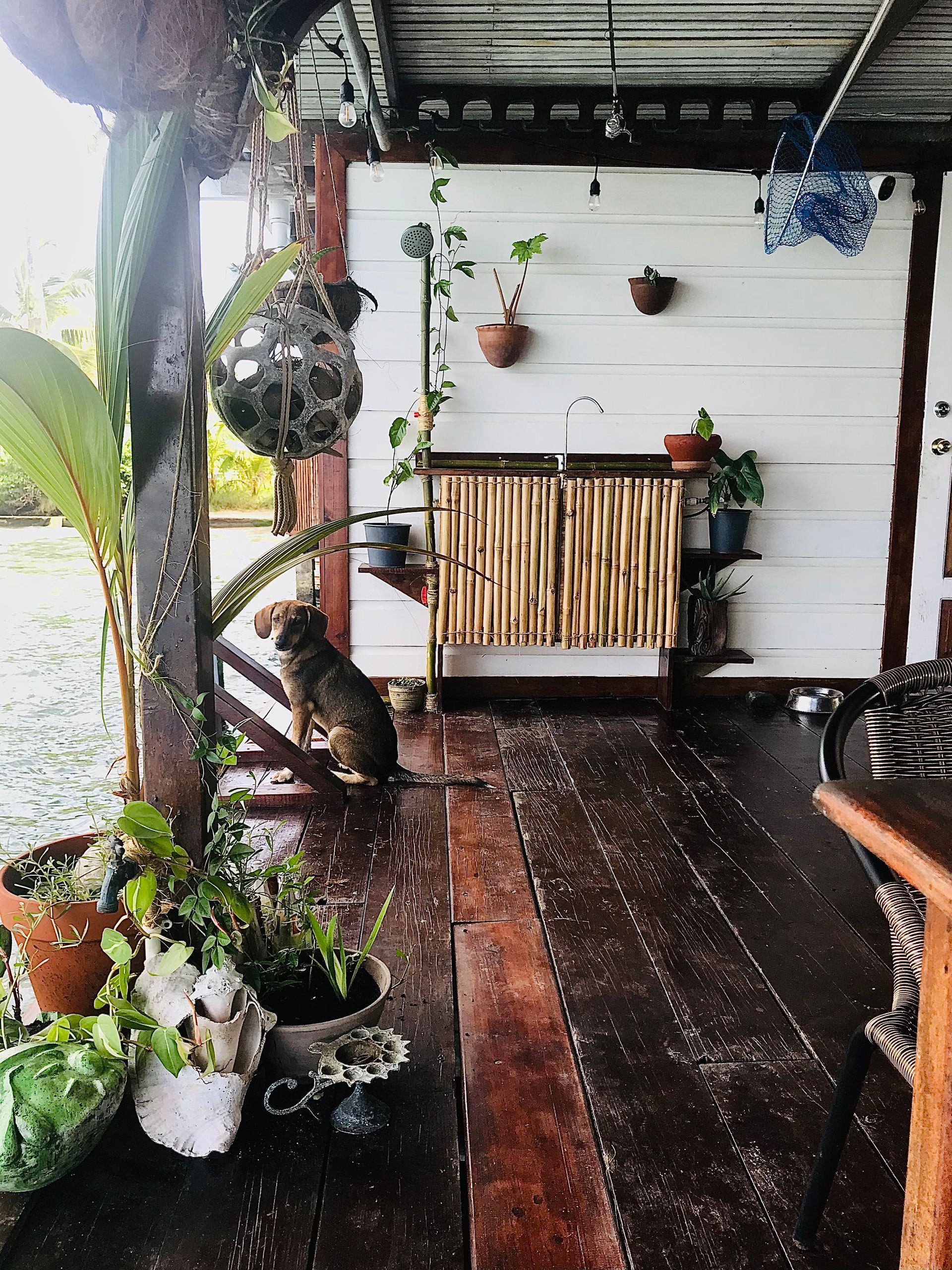 A wooden porch with potted plants and a bench.