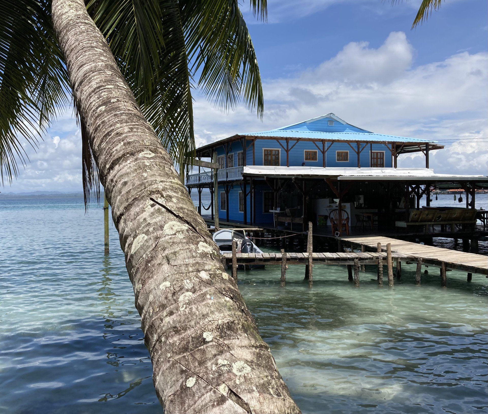 A palm tree stands in front of a blue house on stilts overlooking the ocean.