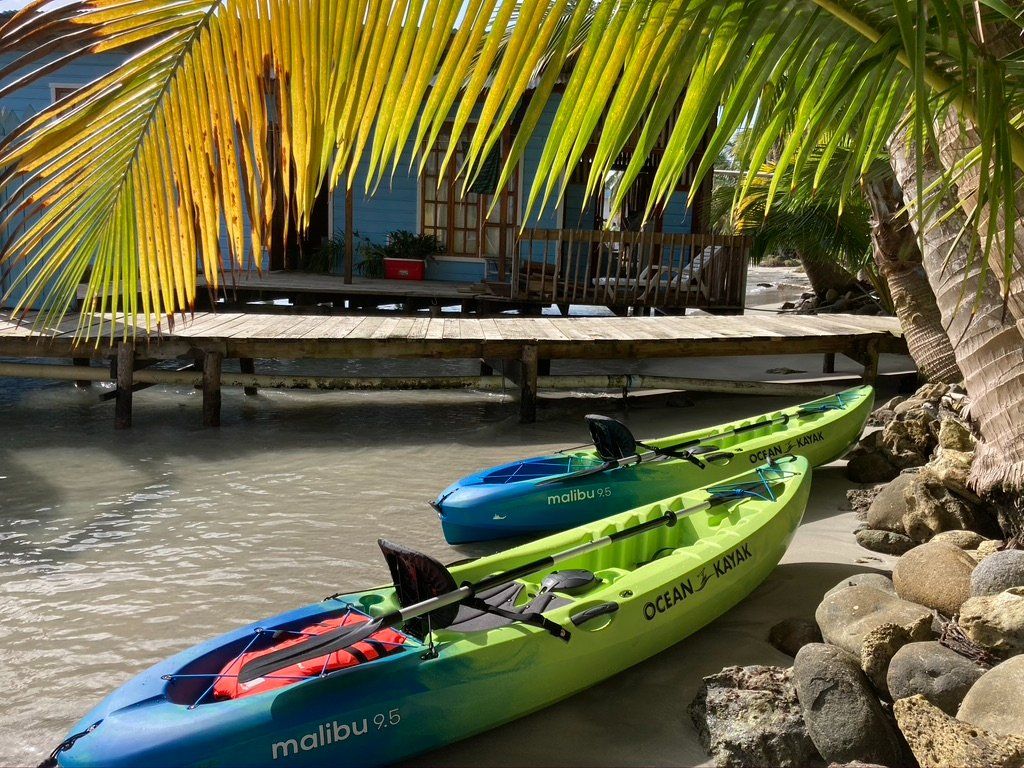 Two kayaks are sitting on the beach under a palm tree.