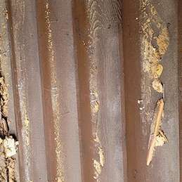 Alex Renovation Gallery