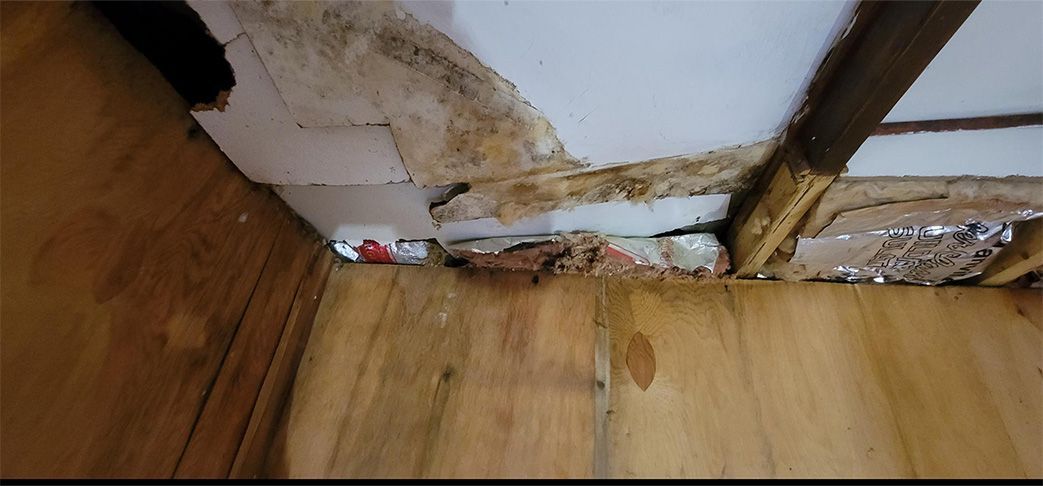 Alex Renovation Gallery