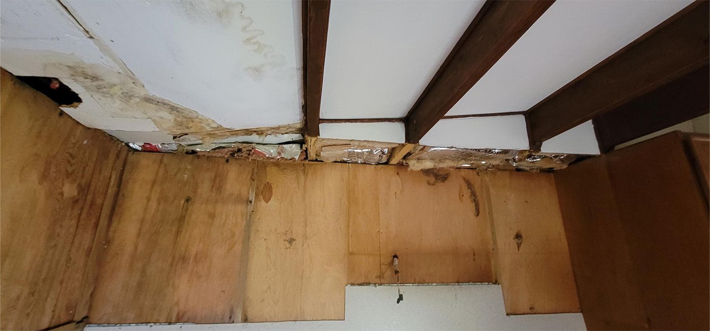 Alex Renovation Gallery