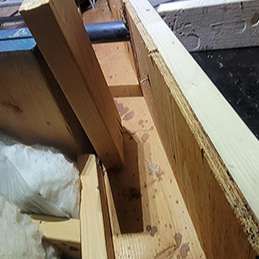 Alex Renovation Gallery