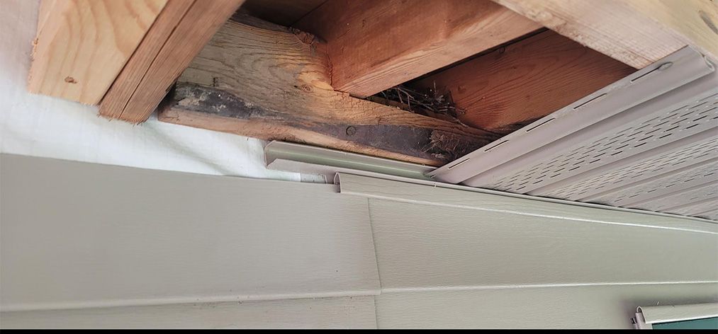 Kassies Bathroom Gallery