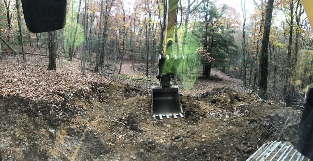 Excavator bucket digging into the ground in a forest, trees in the background.