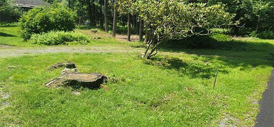 Stone Driveway Gallery