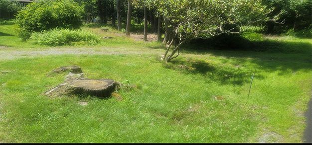 Stone Driveway Gallery