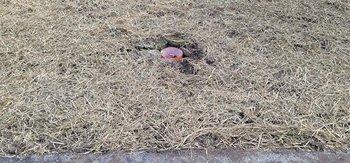 Stone Driveway Gallery