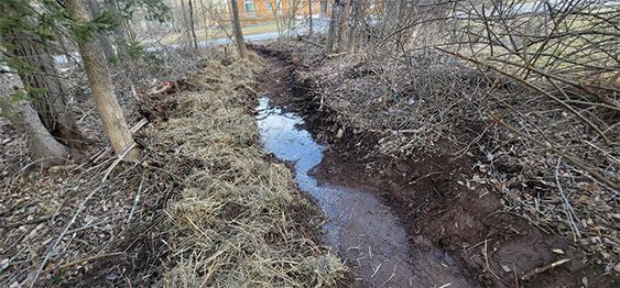 Swale Excavation Gallery