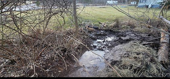 Swale Excavation Gallery