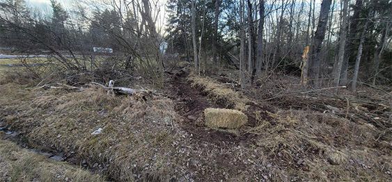 Swale Excavation Gallery