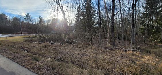 Swale Excavation Gallery