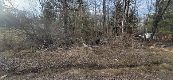 Swale Excavation Gallery