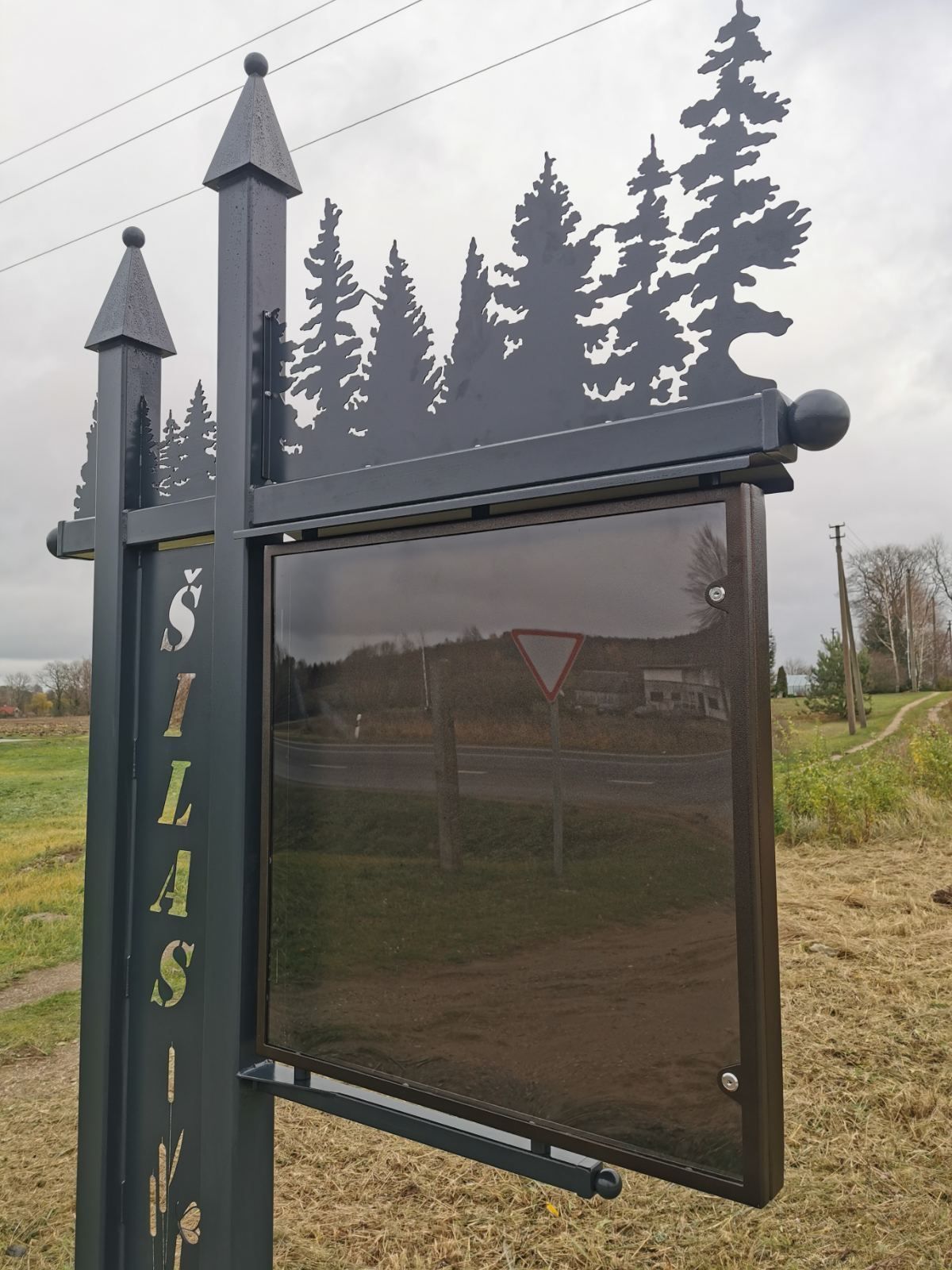 Vaidmeta nuotrauka