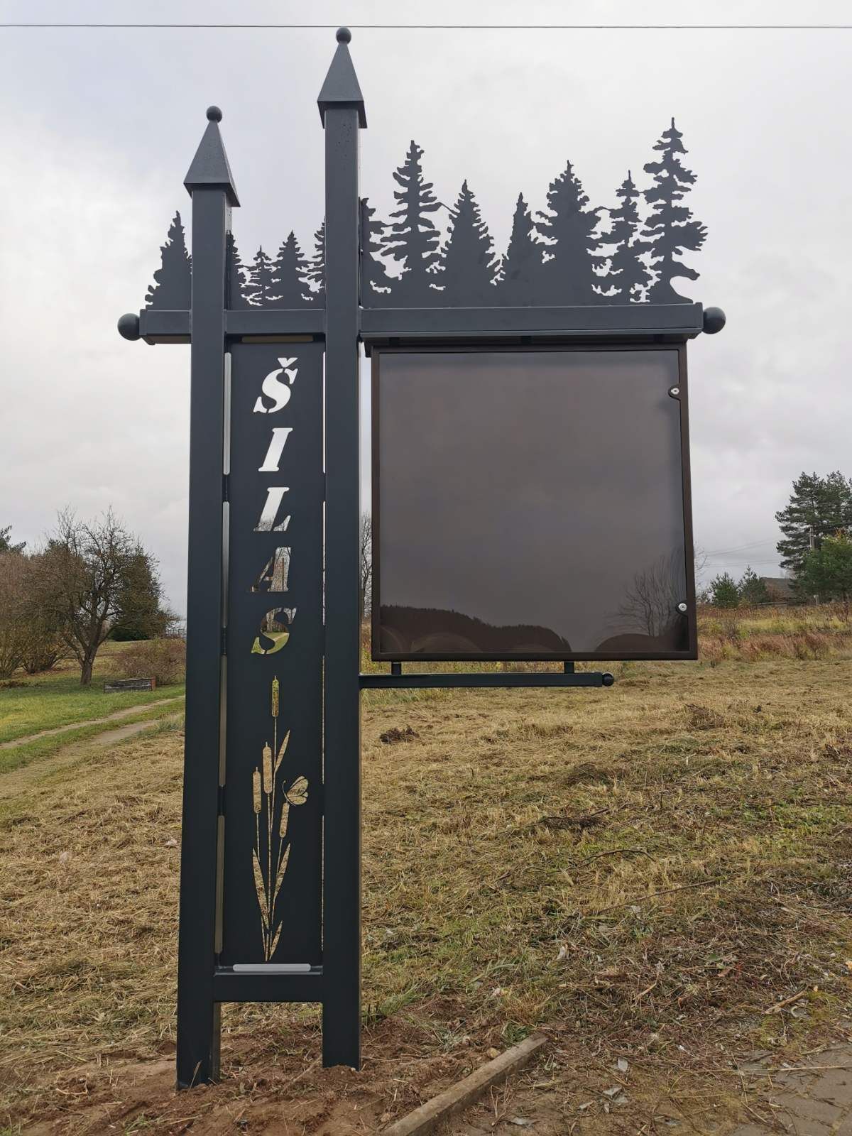 Vaidmeta nuotrauka
