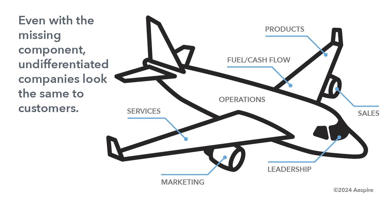 A drawing of an airplane with the words even with the missing component undifferentiated companies look the same to customers