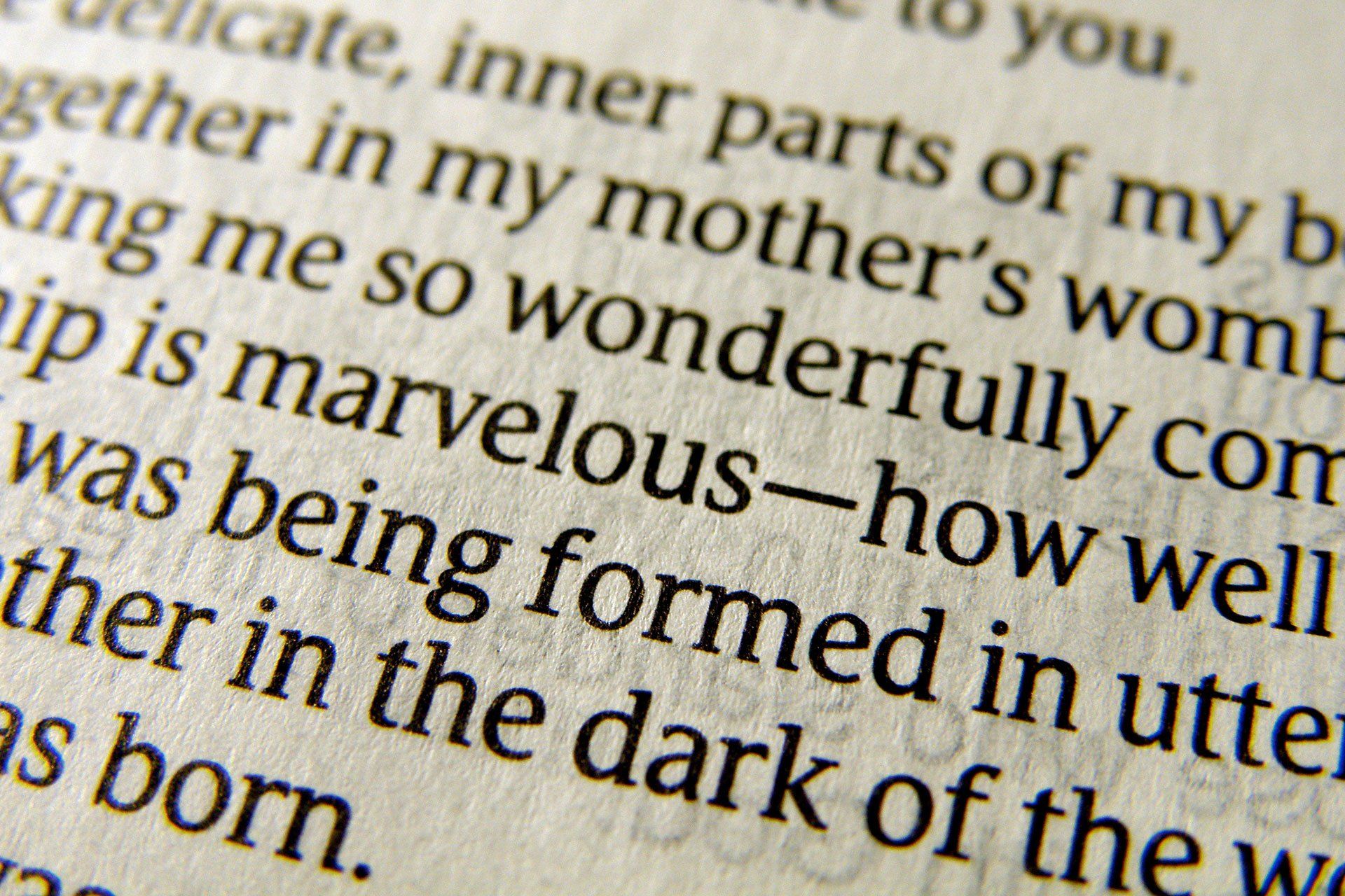 Detail of Lucerna Custom Bible Font