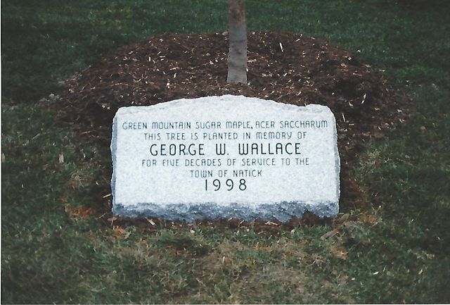 Blue Pearl Granite — Natick Memorial Works