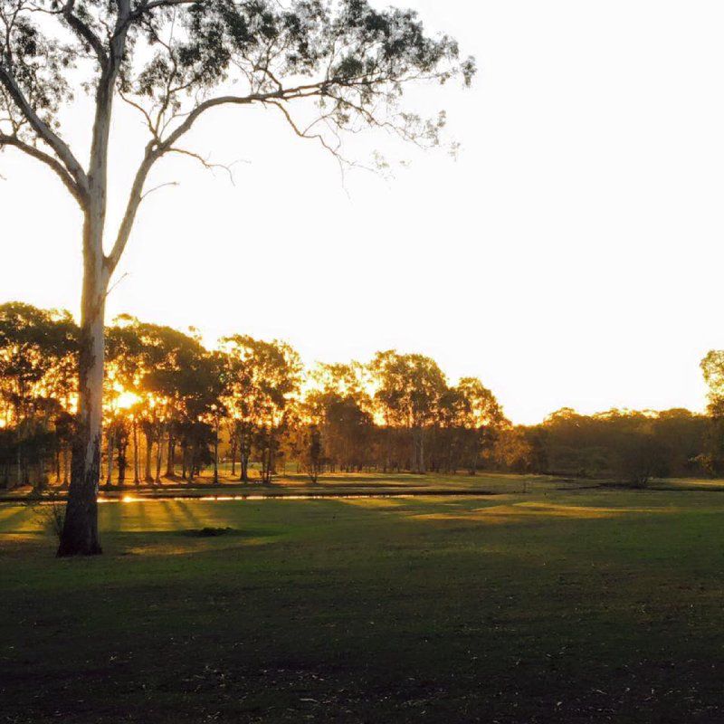 golf course view at sunset