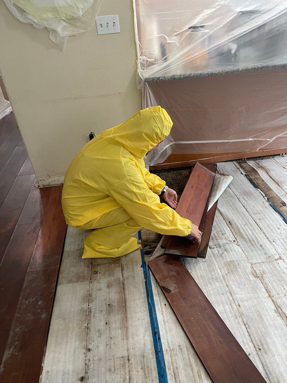 Mold Remediation