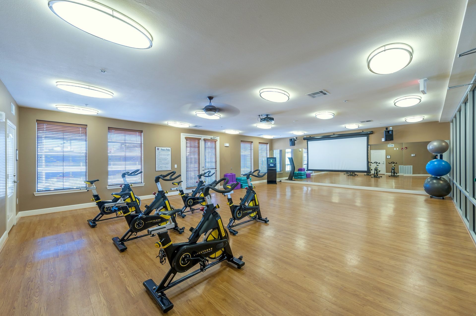 Spin class studio with stationary bikes, projector screen, and exercise balls.