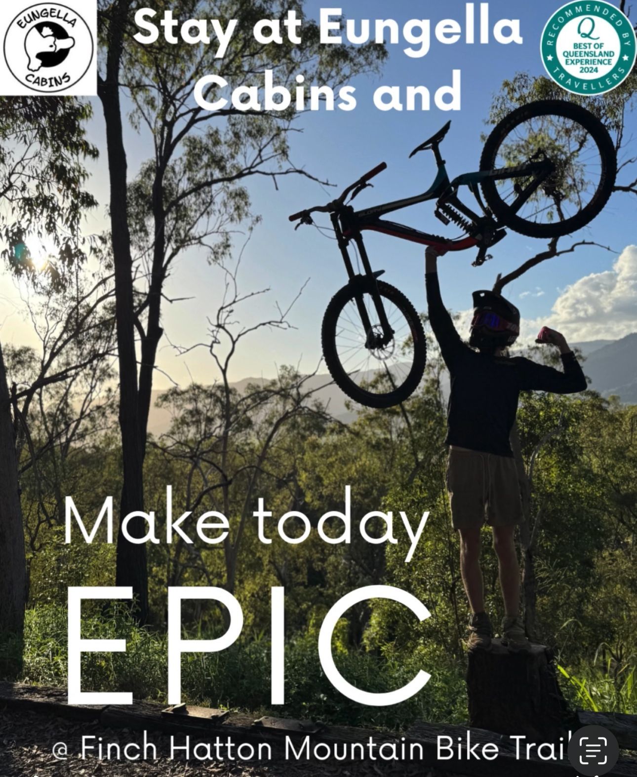 Dirt path winds through a sunlit forest, surrounded by green foliage and tall trees.