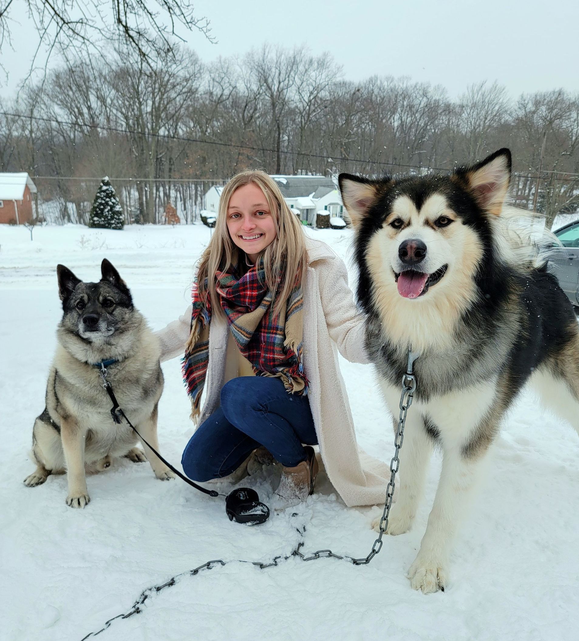 Dog Boarding Kennel Butler, PA Whispering Winds Boarding Kennel
