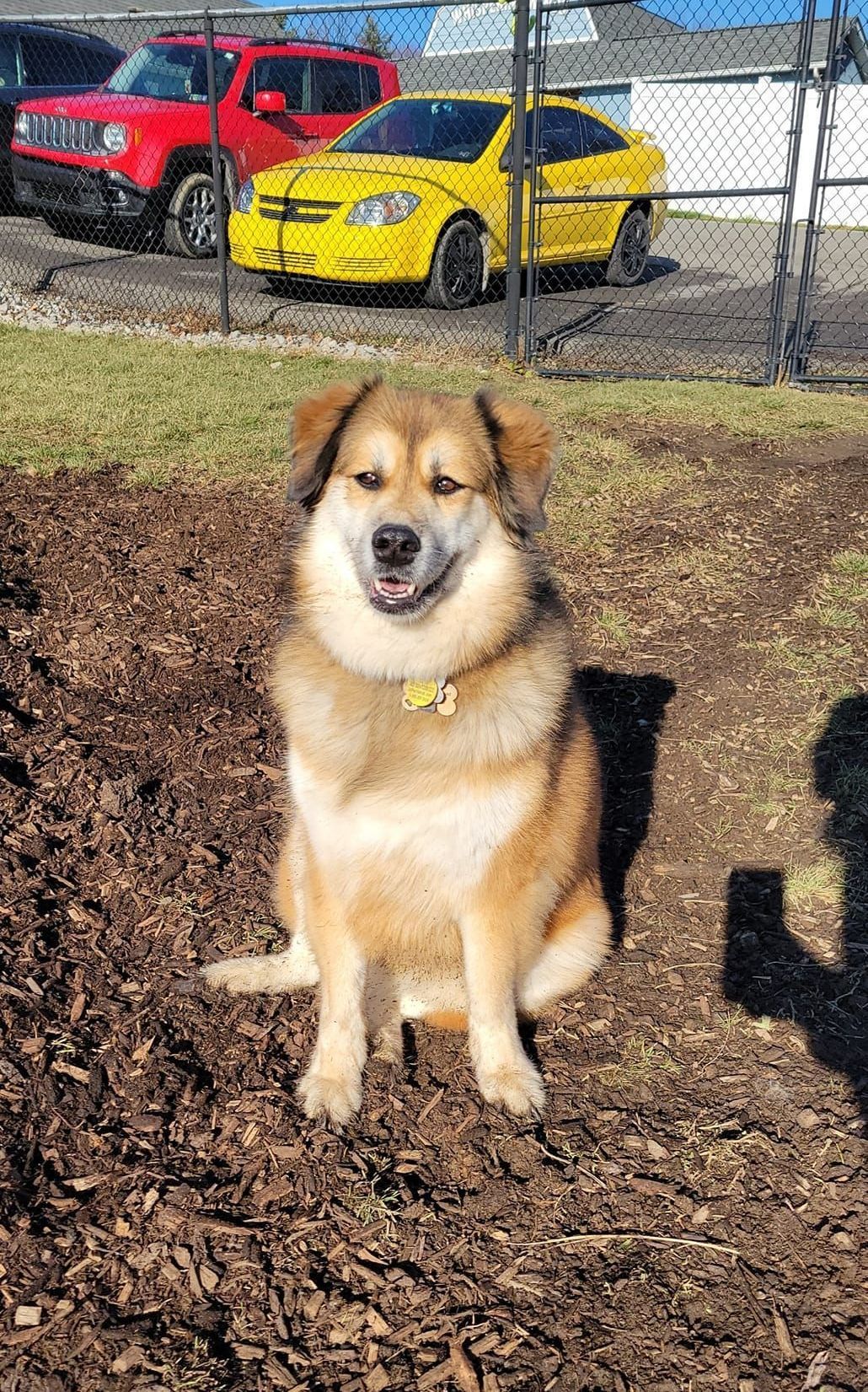 Outdoor Kennel — Butler, PA — Whispering Winds Boarding Kennel