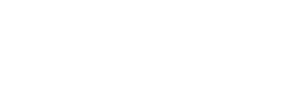 Veritable Wellness logo