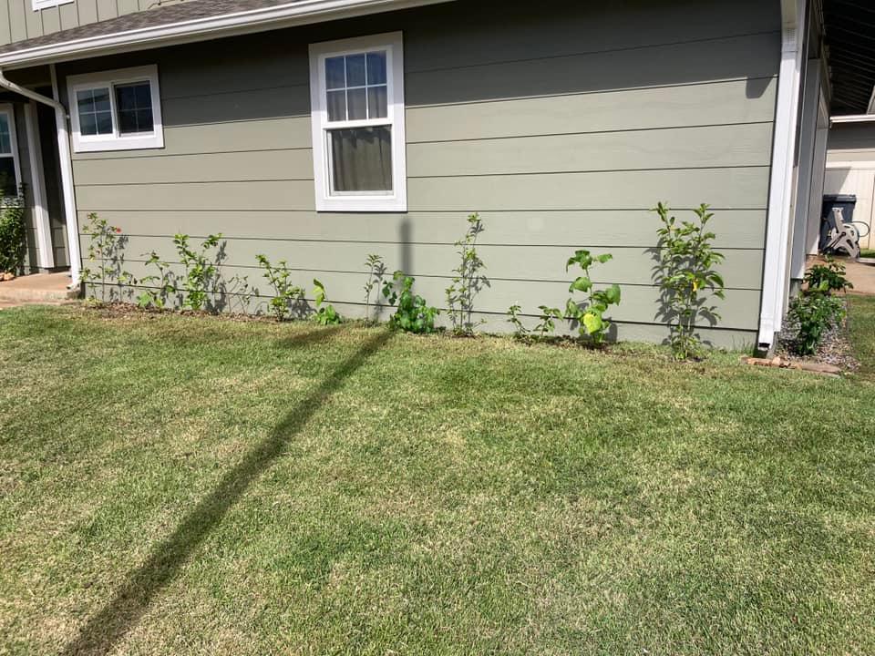 Landscaping 05 — Honolulu, HI — Gonzalez Maintenance