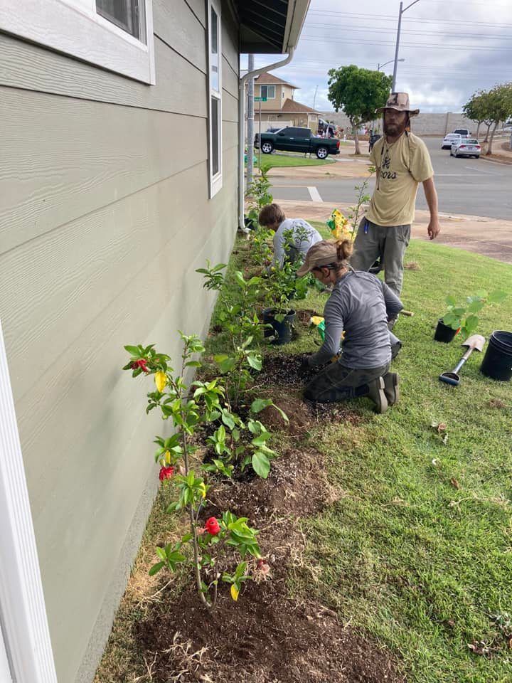 Landscaping 06 — Honolulu, HI — Gonzalez Maintenance