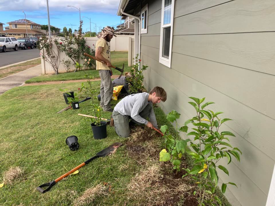 Landscaping 08 — Honolulu, HI — Gonzalez Maintenance