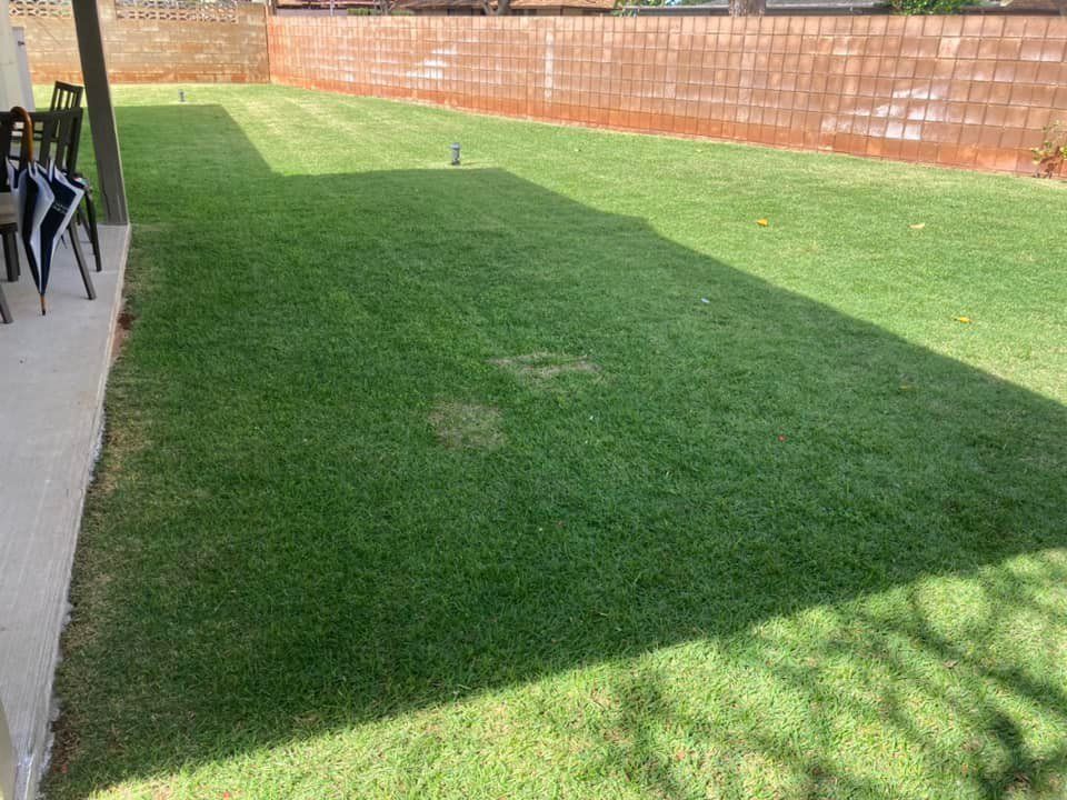 Landscaping 03 — Honolulu, HI — Gonzalez Maintenance