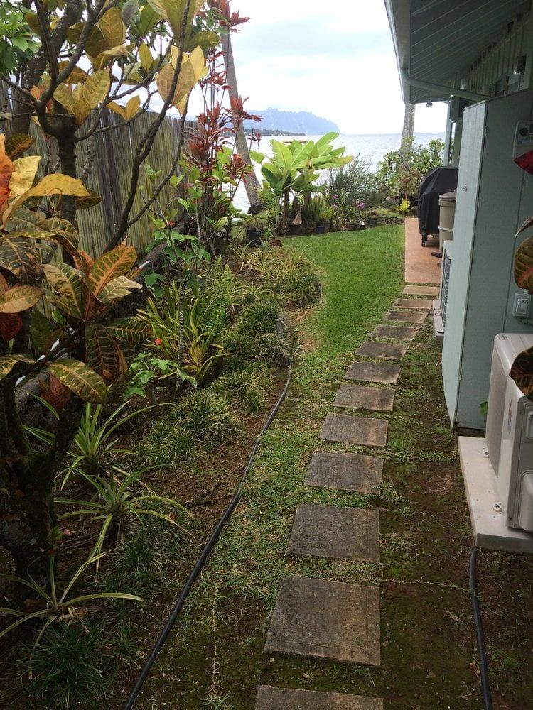 Backyard — Honolulu, HI — Gonzalez Maintenance