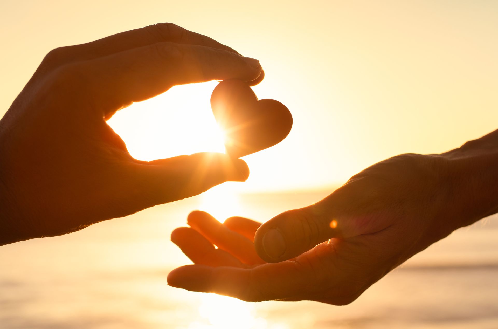A person is holding a heart in their hands with the sun shining through it