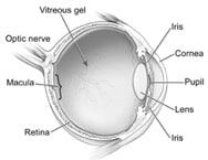 cataract lens - ophthalmologist in Middletown, RI