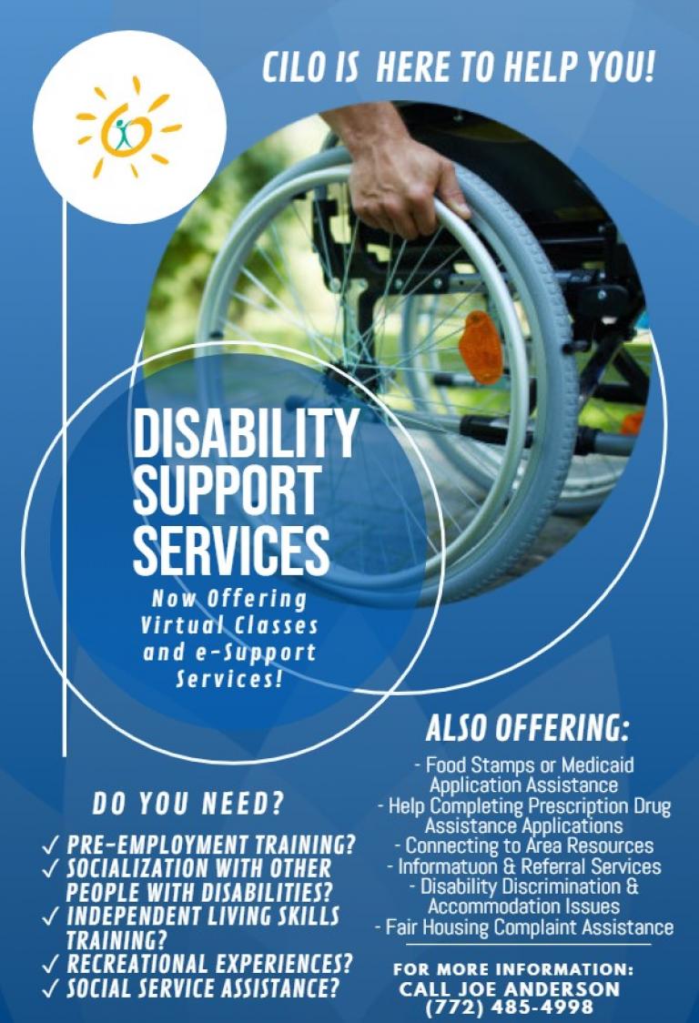 Disability e-Support Services Flyer