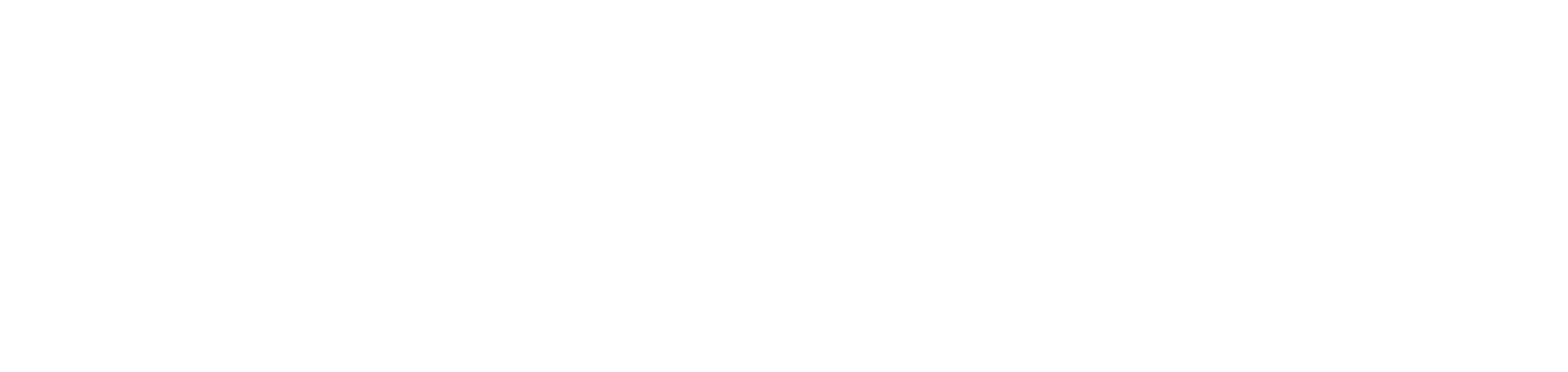 Blinds Couture white logo