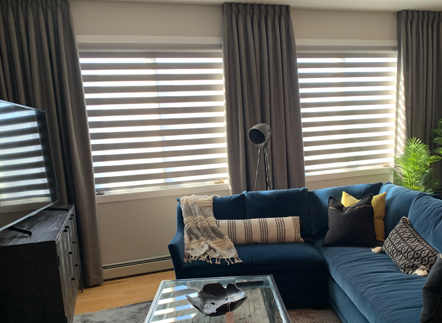 Color Brown Themed living area with design of Butterfly Pleat Blinds