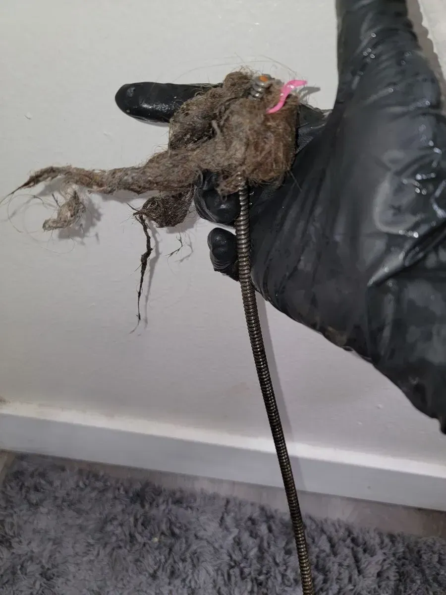 Gloved hand holding a clump of hair and debris pulled from a drain with a plumbing snake.