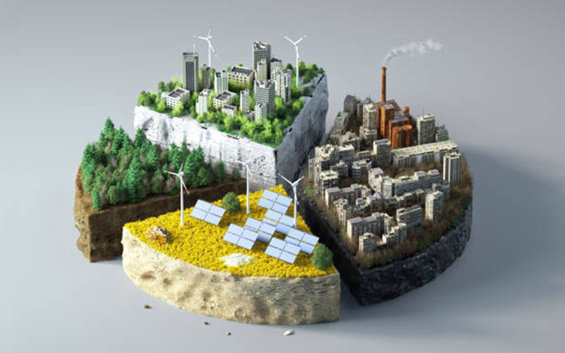 A pie chart showing different types of energy sources.